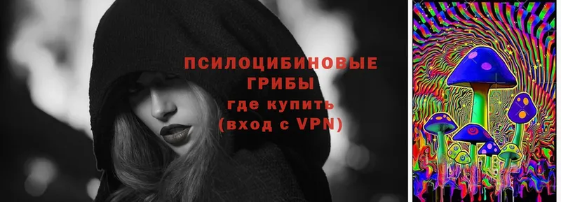 Псилоцибиновые грибы мухоморы  Почеп 